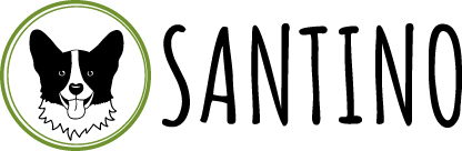 Santino