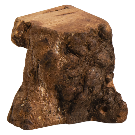 Afbeelding van Boomwortel - XS