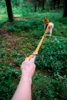 Afbeelding van Woolly Wolf Roam adjustable leash - Groen